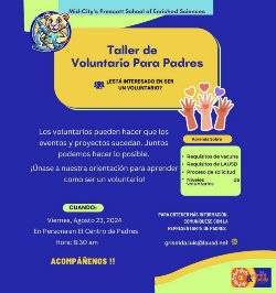 Taller De Voluntario